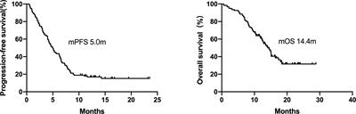 Front-Line ICI-Based Combination Therapy Post-TKI Resistance May Improve Survival in NSCLC Patients With EGFR Mutation